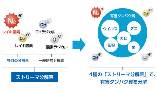 ECOソリューション